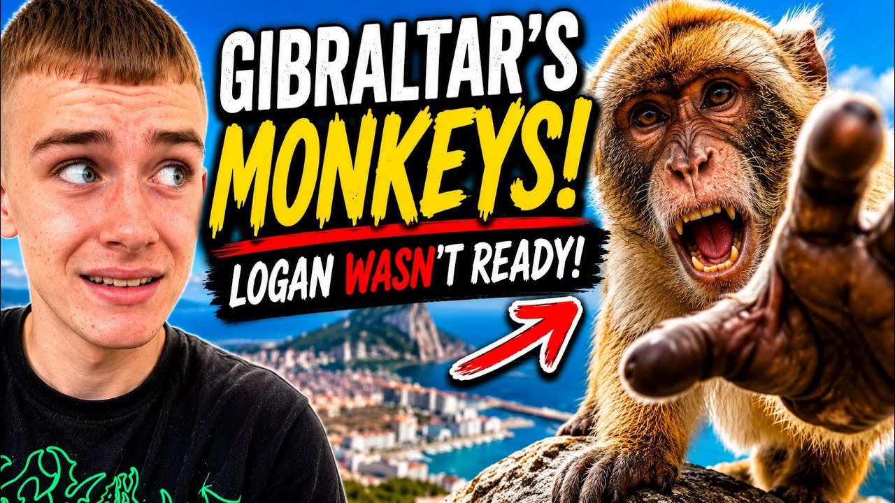 Family Vanlife Spain - Monkey Mayhem at The Rock