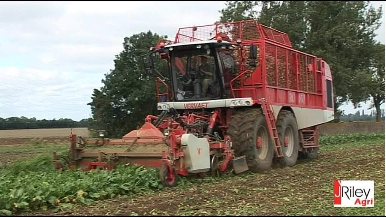 Vervaet Beet Eater 625 six-row sugar beet harvester