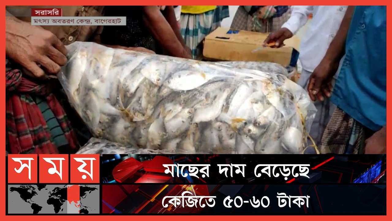 বাগেরহাটে বেড়েছে সামুদ্রিক মাছের সরবরাহ | Bagerhat Fish Market | Fish Price | Hilsha Fish |Somoy TV