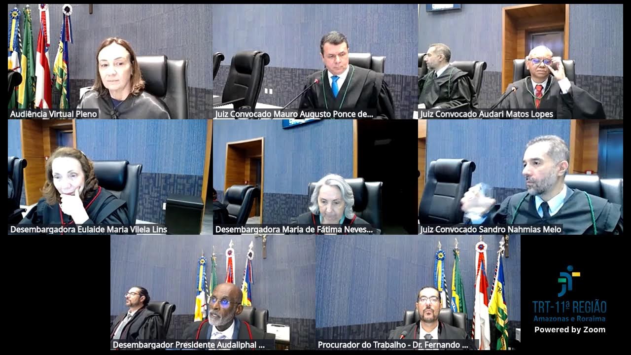 11ª Sessão Ordinária de Julgamento de 2025 - Seção Especializada II