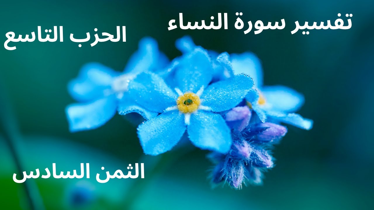 تفسير سورة النساء : الحزب التاسع، الثمن السادس