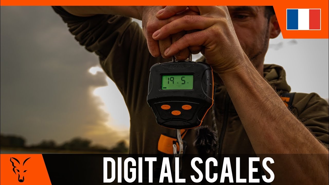 PESON DIGITAL SCALES - FOX | P&ecirc;che &agrave; la Carpe FOX TV