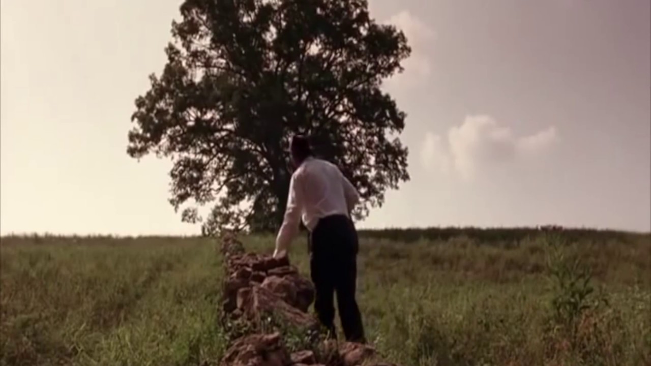 The Lie Tree Trailer - ENG 3560