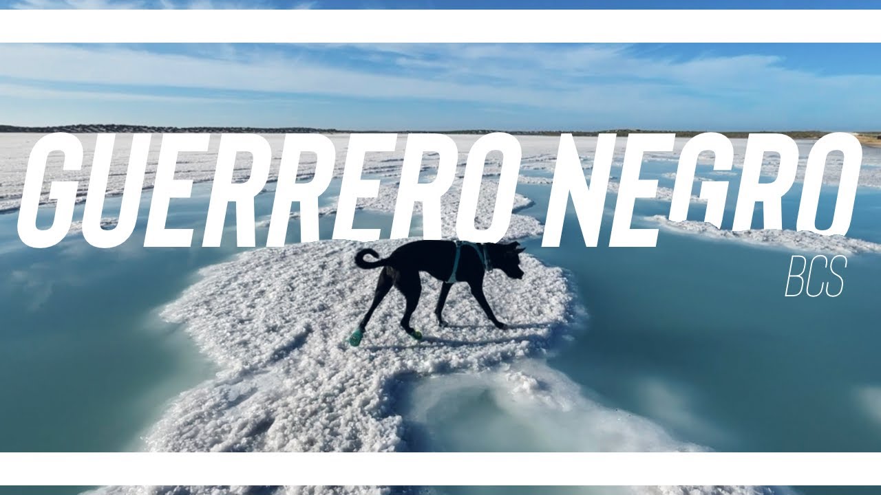 Guerrero Negro