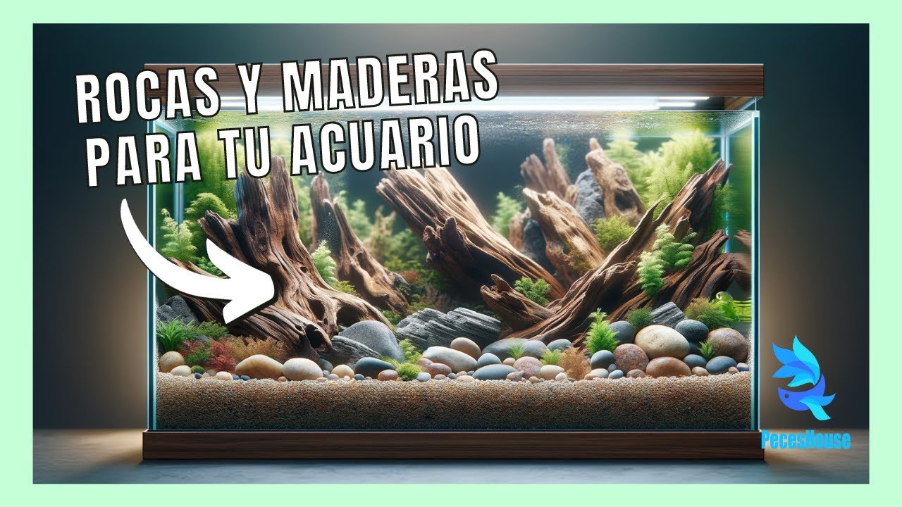 ROCAS y MADERAS para tu acuario | SELECCIÓN Y TRATAMIENTO