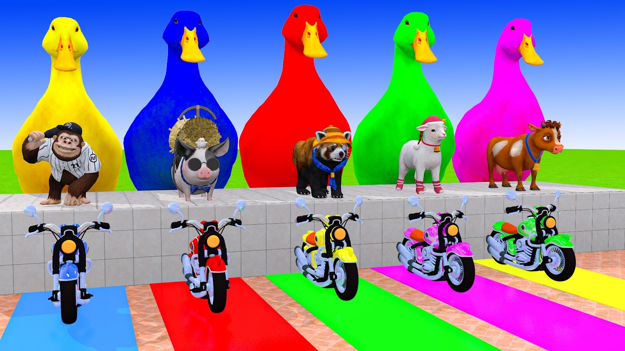Long Slide Game With Cow Elephant Gorilla Hippopotamus Tiger 3d Animal Game Funny 3d Animals