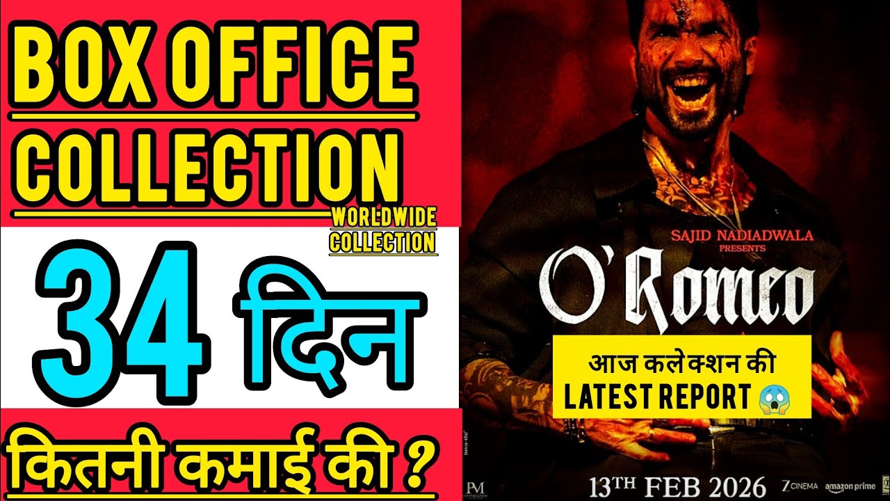 O Romeo Box Office Collection Day 34, O Romeo 34th day collection, shahid kapoor, tripti dimri
