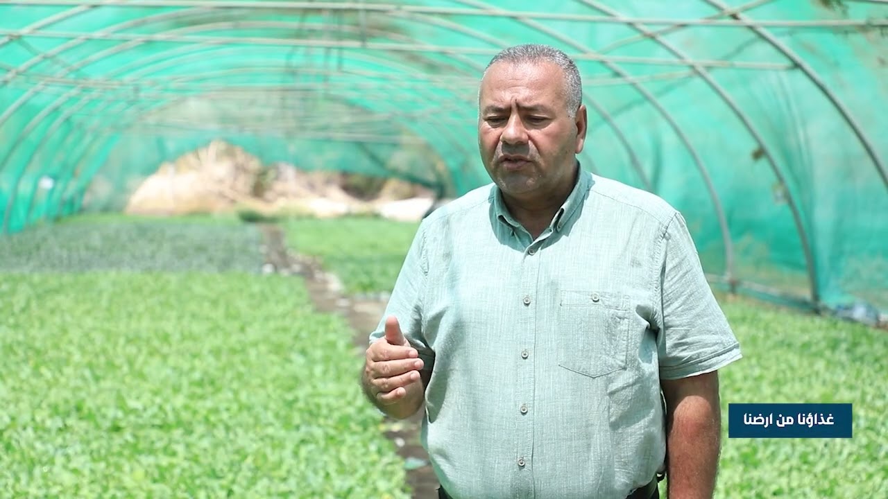 فقرة إرشادية عن اهمية اخيار الدايات في الزراعة المحمية