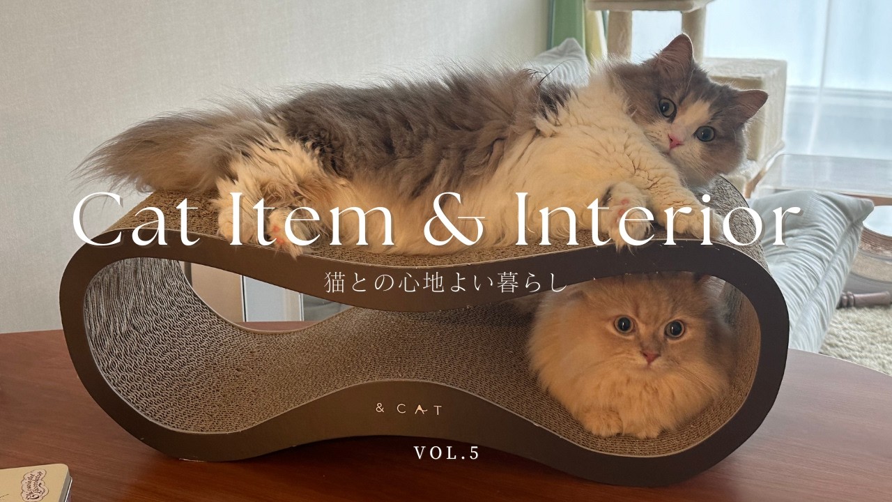 猫との心地よい暮らし | インテリアに合うおすすめ猫アイテム&買ってよかったもの