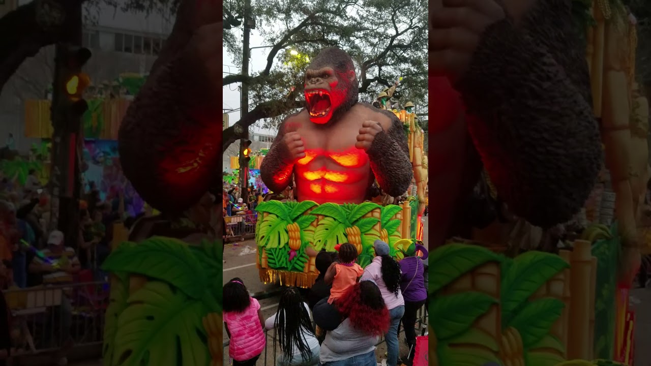 Bacchus 2018 Fred1