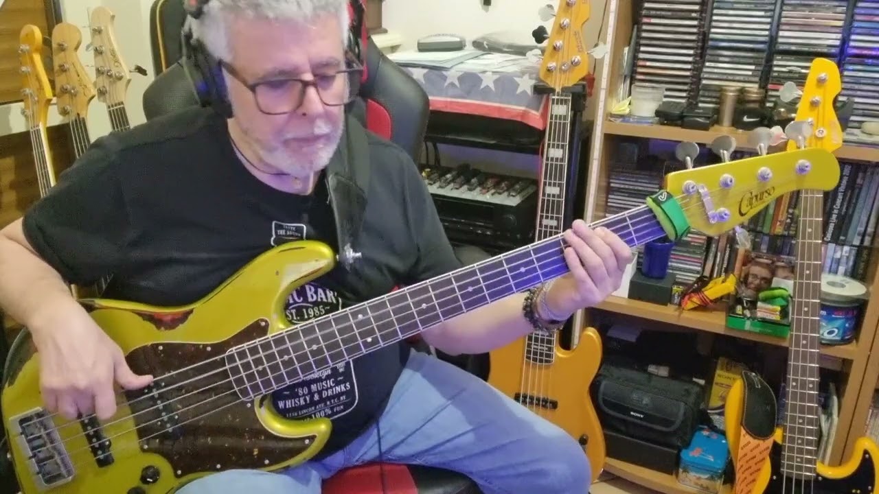 Tina Turner-We Don't Need Another Hero (Thunderdome) personal bass cover by Rino Conteduca