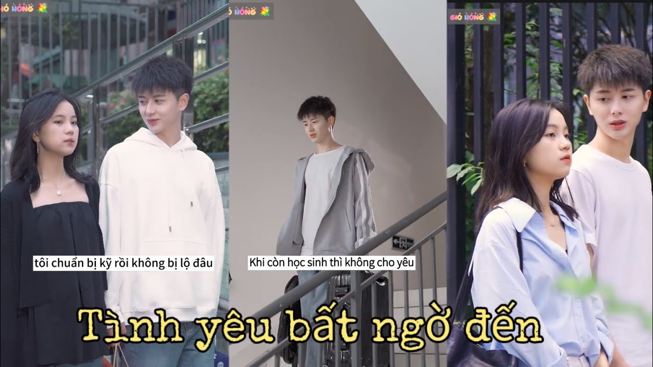 Phi  Phi và Gia Phi Hạm ( Cầu Cầu) | Tình yêu bất ngờ đến | Vietsub