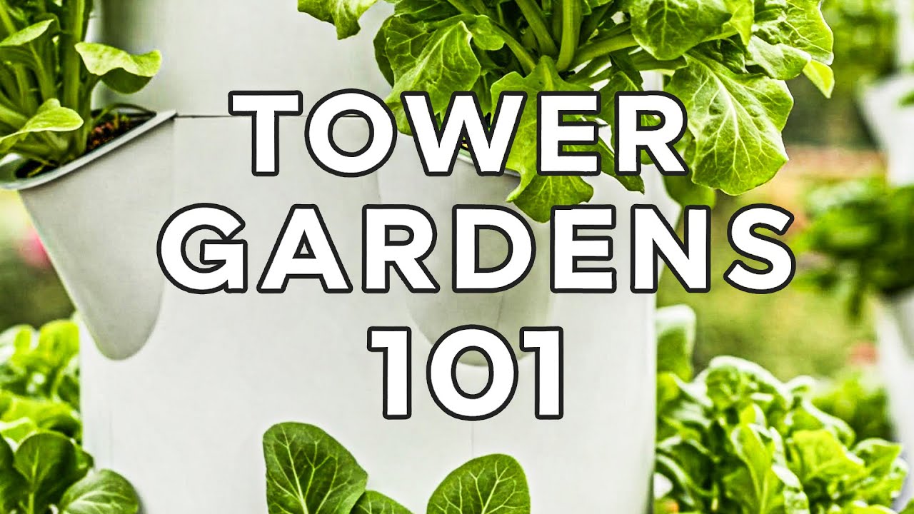 Tower Gardens 101 Hydroponic/Aeroponic Tower Gardens, What You NEED To know