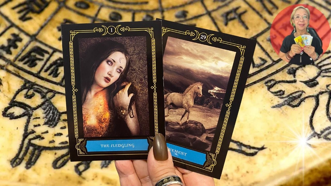 ARIES!  SUFRE CALLADAMENTE!  PIENSA MUCHO EN ESA RUPTURA CONTIGO  BUSCA ARGUMENTOS PARA VOLVER!