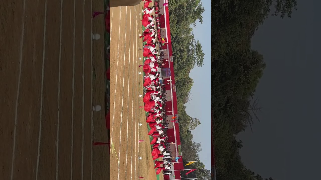 Sports day celebration 