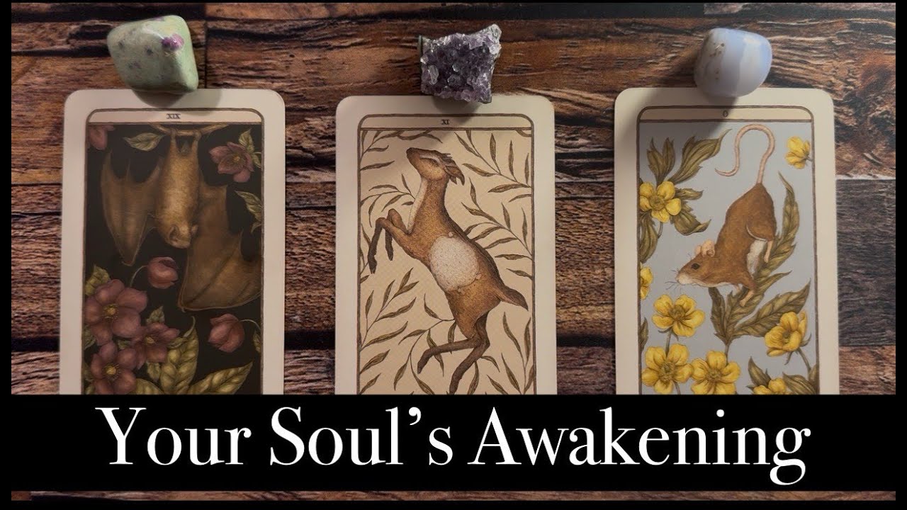 ✨Your Soul's Awakening✨ Channeled Pick A Card - Tarot Reading