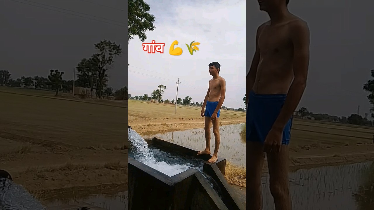 #youtubeshorts#youtubeshort#viralvideos#shortvideos#kheti#kishan#shorts#short#farmar#fitness#farming