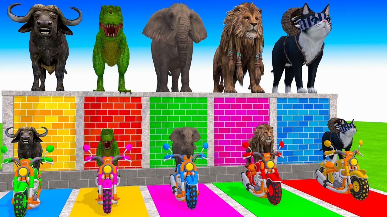 Long Slide Game With Lion Buffalo Dinosaur Cat Elephant - 3d Animal Game - Funny 3d Animals