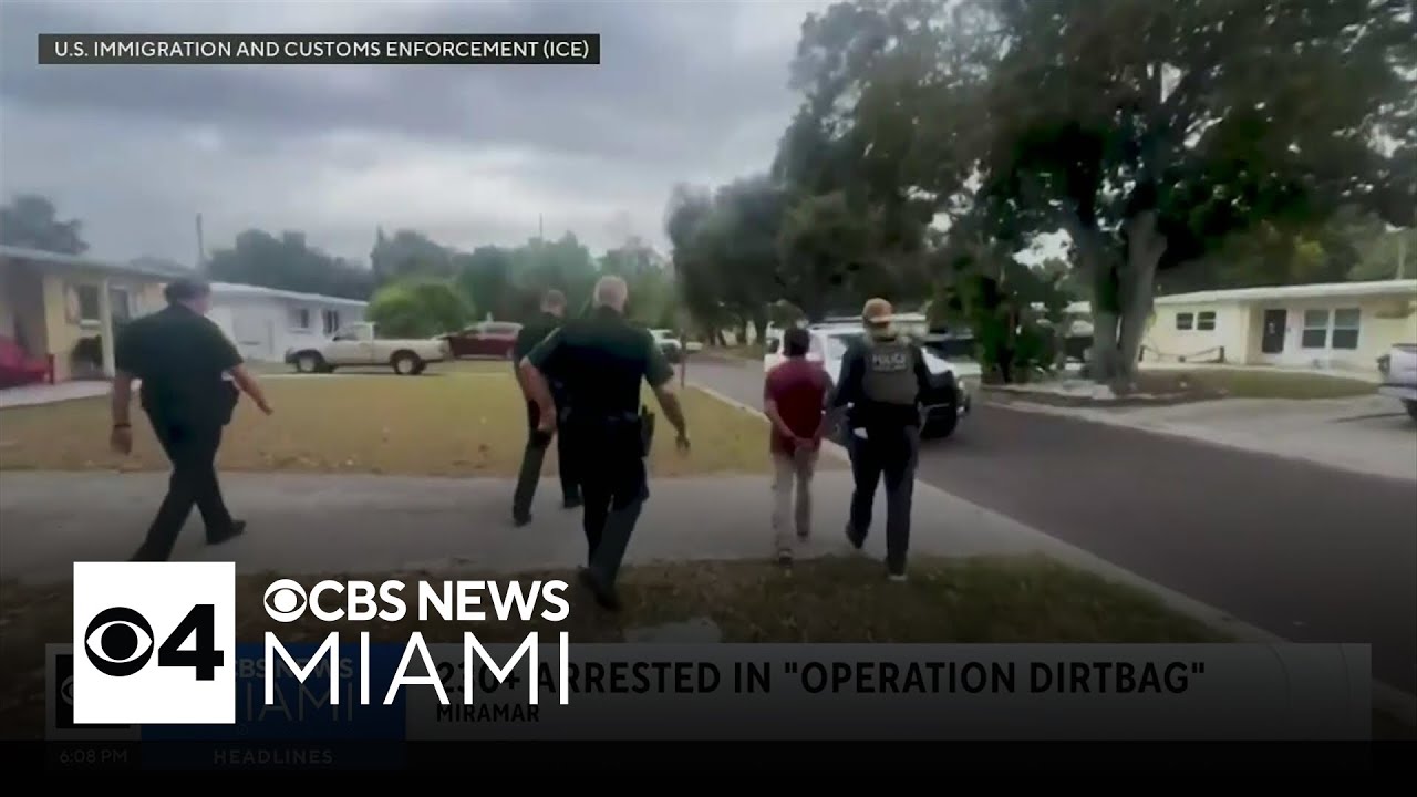 Over 230 people arrested and deported in South Florida ICE bust