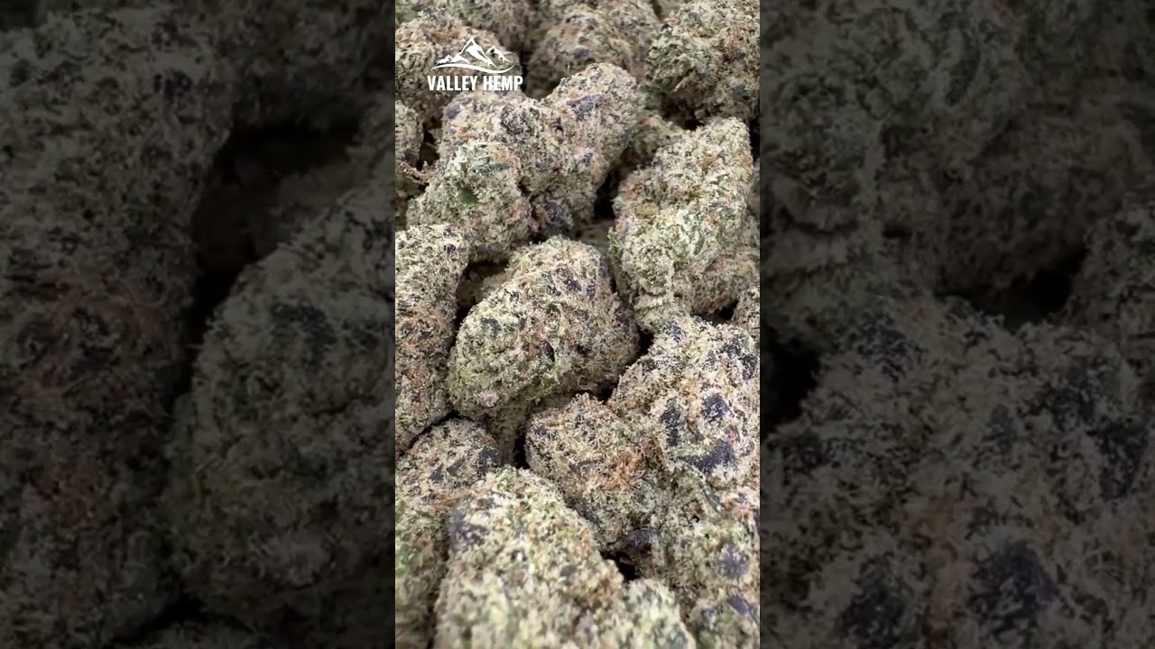 Mango Kush THCa Hemp Flower by Valley Hemp USA