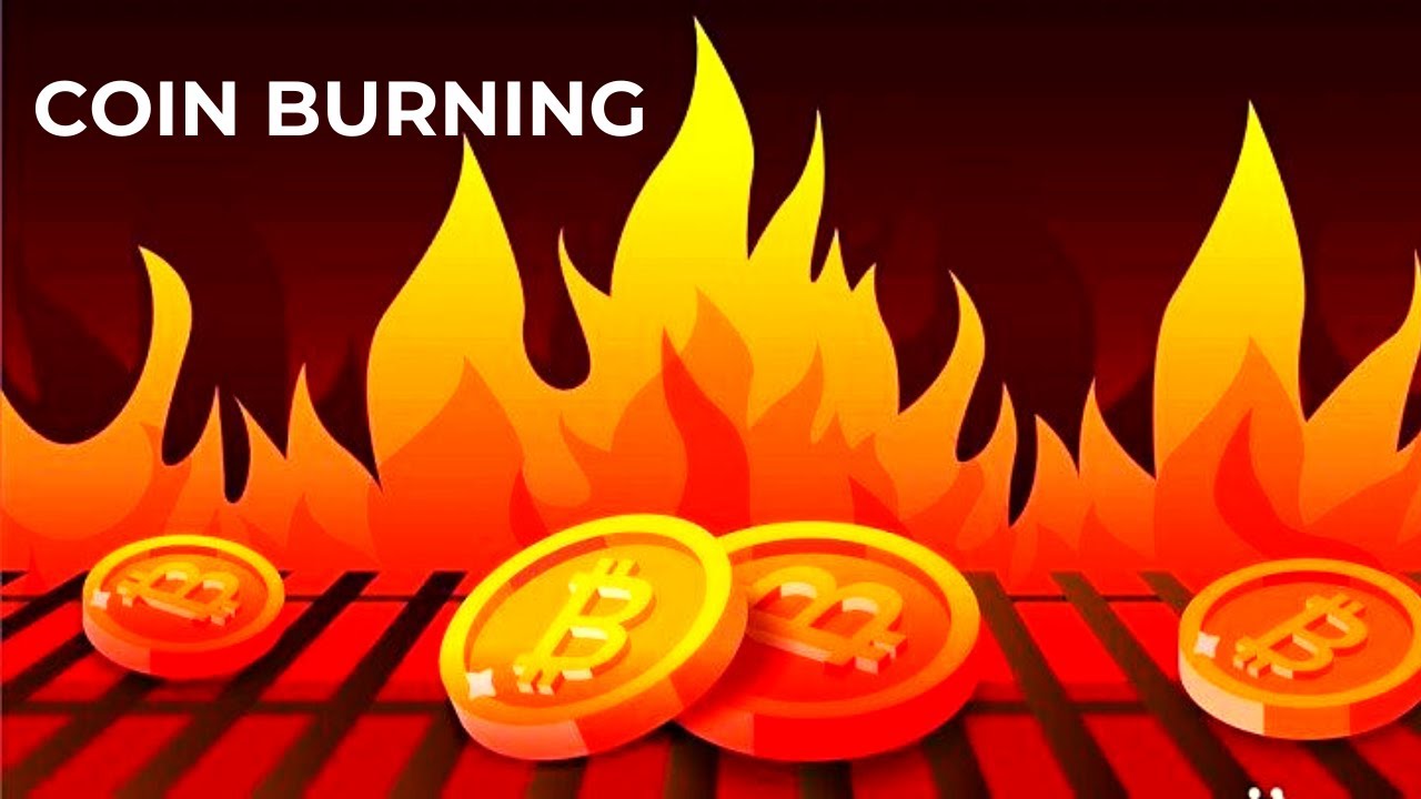 What is Coin (Token) Burning? & How it is done (Animated)