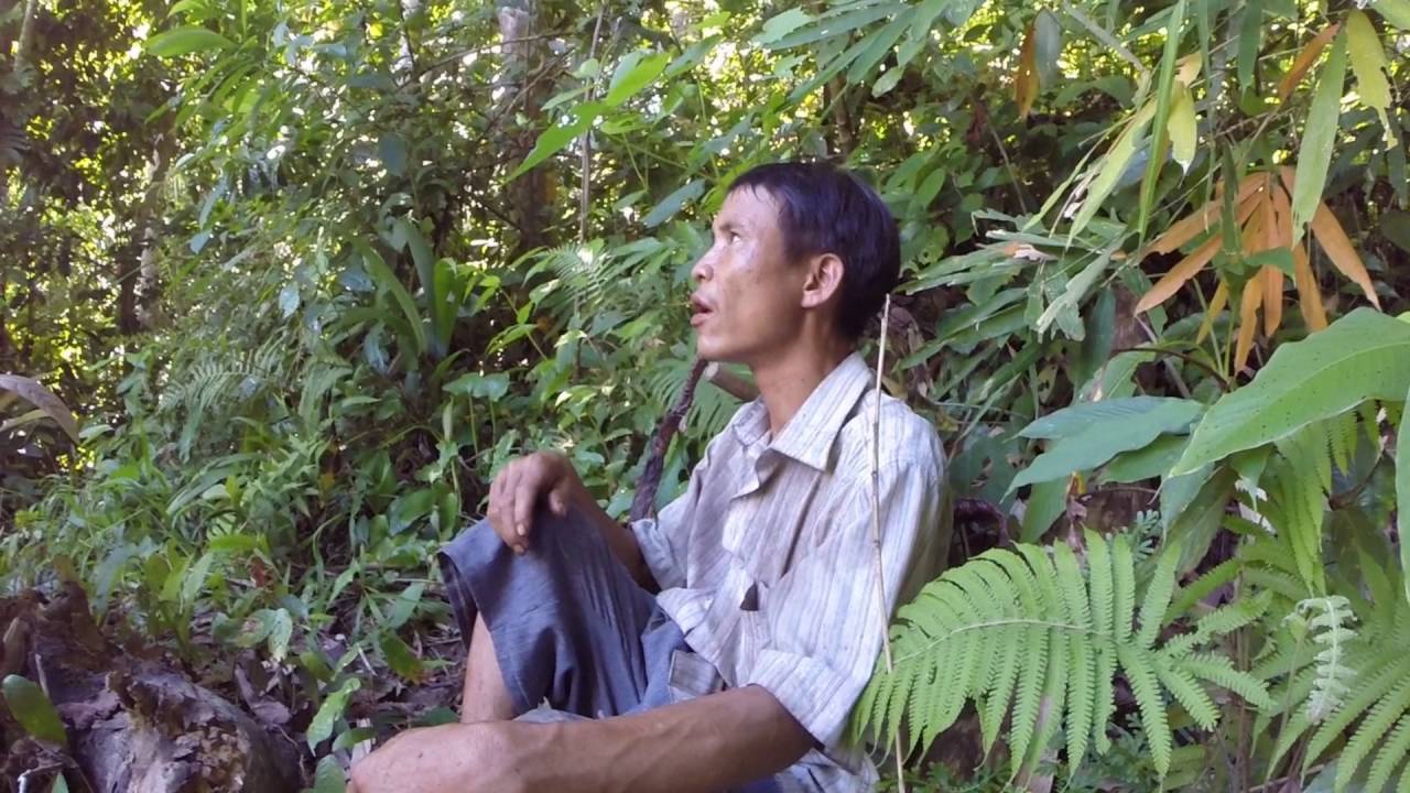 Arriving | Real-Life Tarzan (1/11)