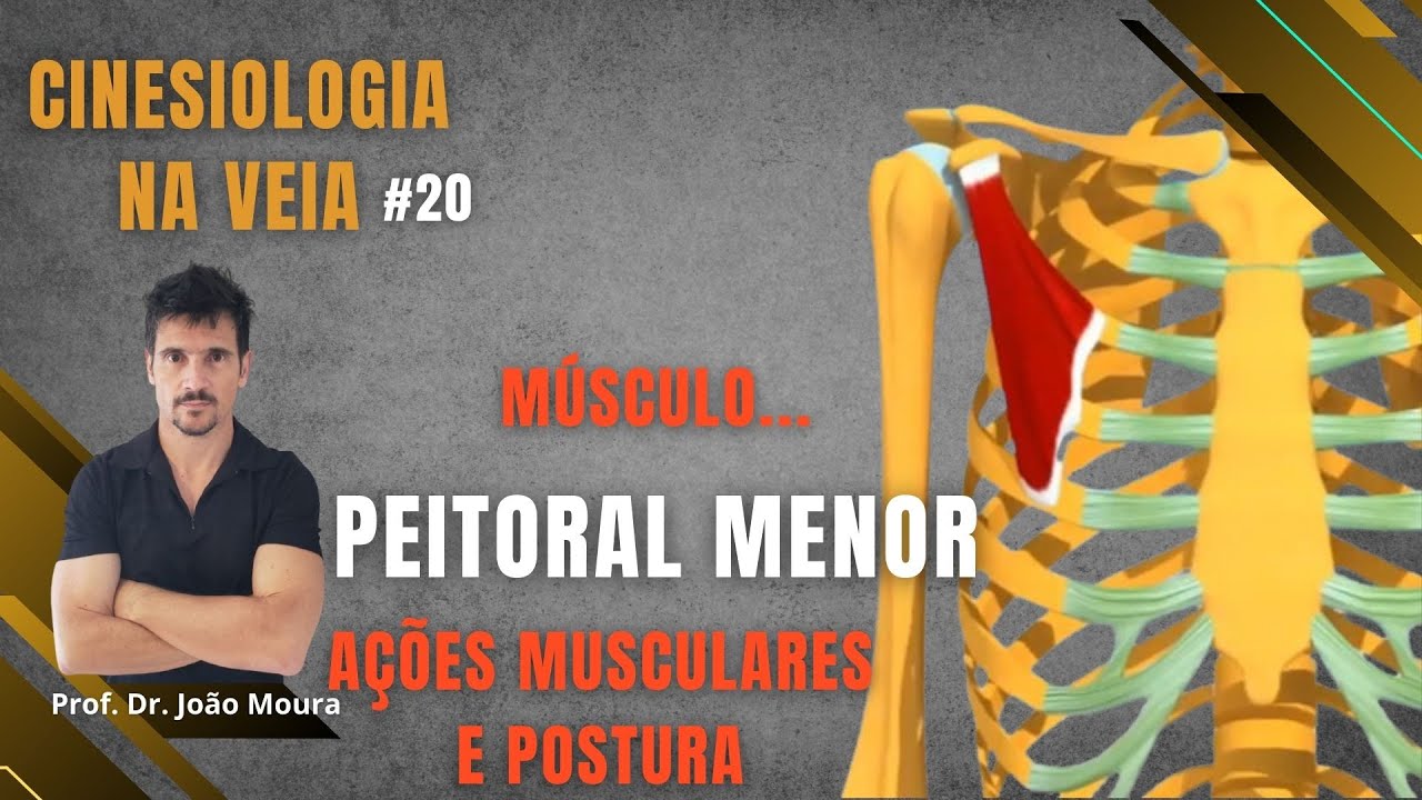 PEITORAL MENOR - CINESIOLOGIA NA VEIA #20