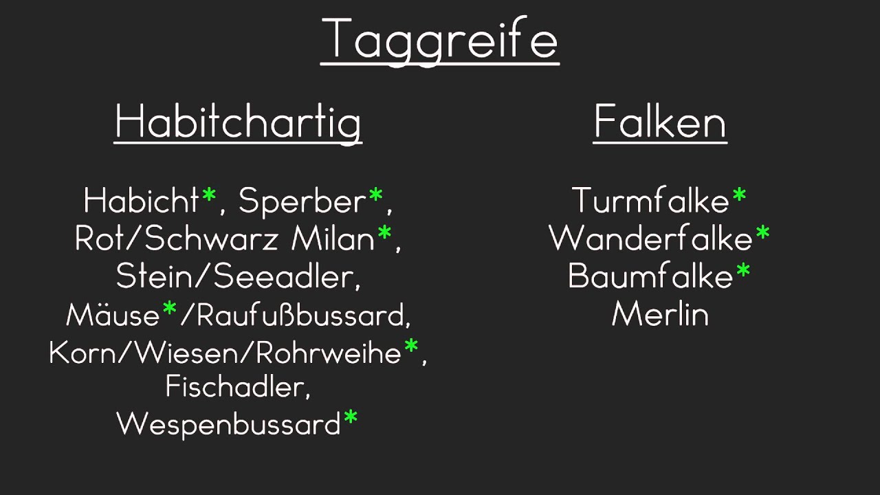 Federwild |Jagd 2|