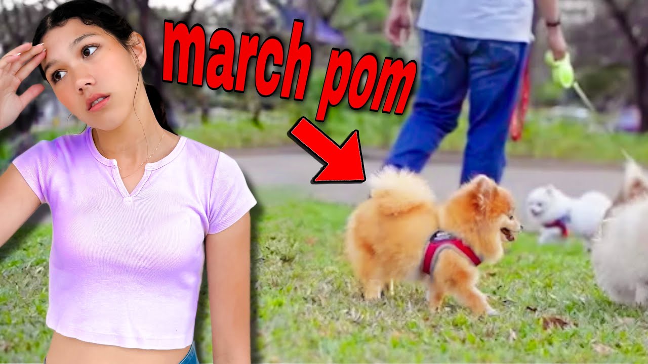 DID WE FINALLY FIND MARCH POM? | Familia Diamond