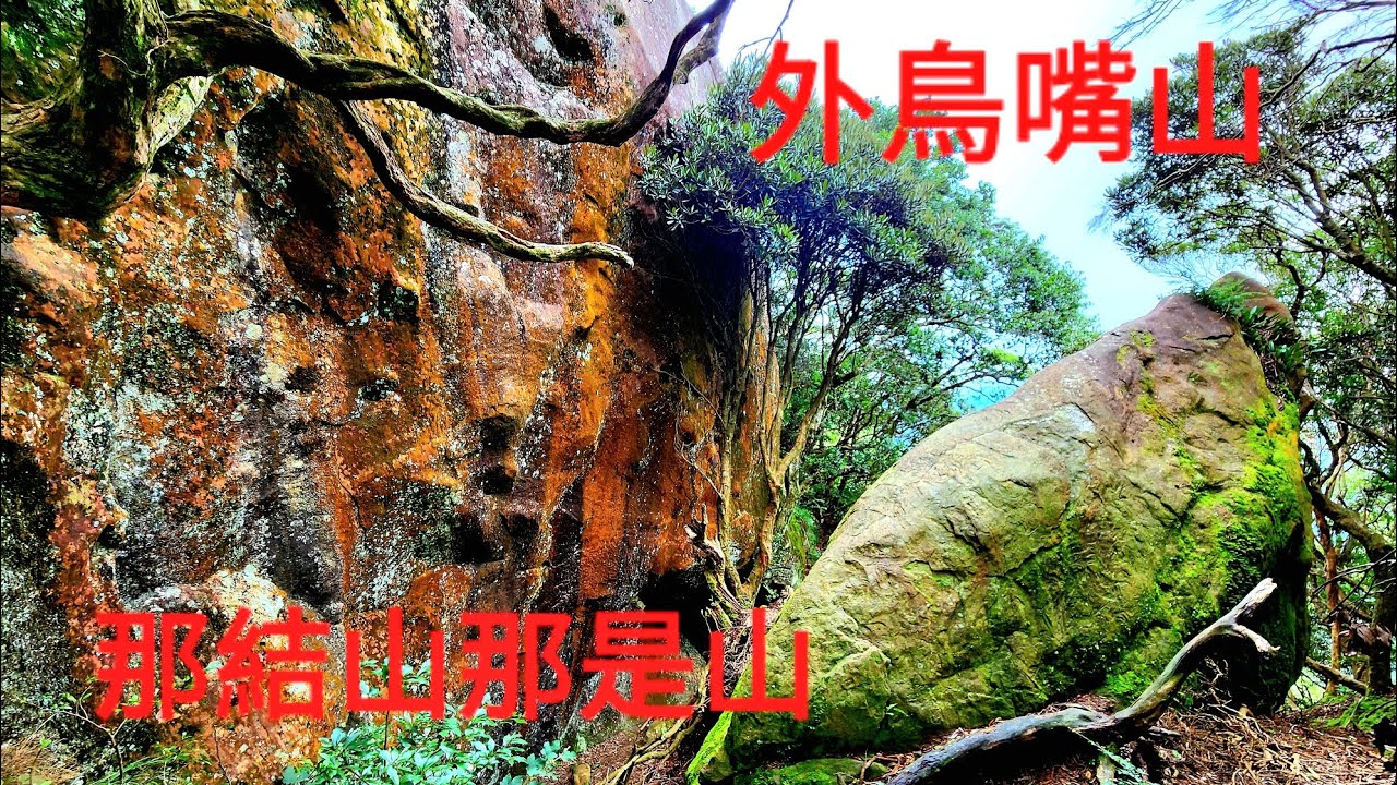 馬武督森森步道上外鳥嘴山+那結山+綠光小學。20250804