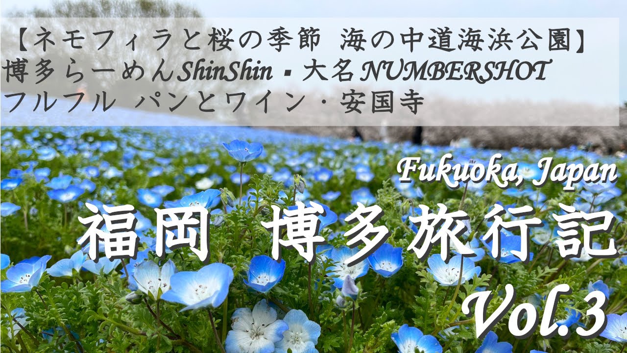 【福岡 博多 旅行記 Vol.3】ネモフィラと桜と海の中道海浜公園 | 博多らーめんShinShin  | 安国寺 | 大名NUMBERSHOT | フルフル パンとワイン | 2025年3月 字幕