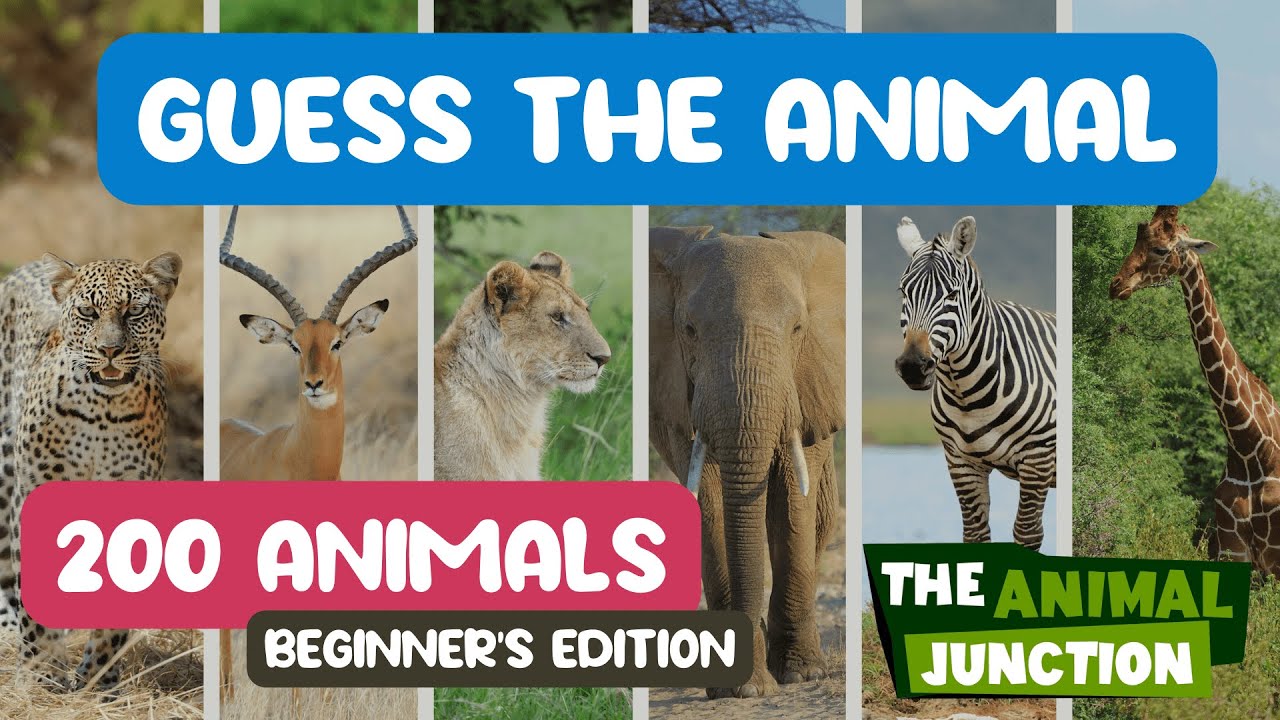 Guess the Animal Name Game - 200 Animals | The Animal Junction