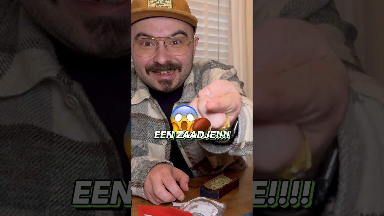 Zaad in legale wiet?!  🇳🇱👨🏻&zwj;🌾😰😮&zwj;💨🍃💚
