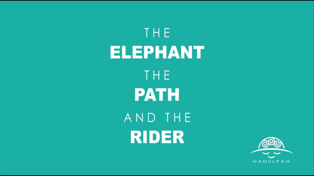 The Elephant, the Path and the Rider