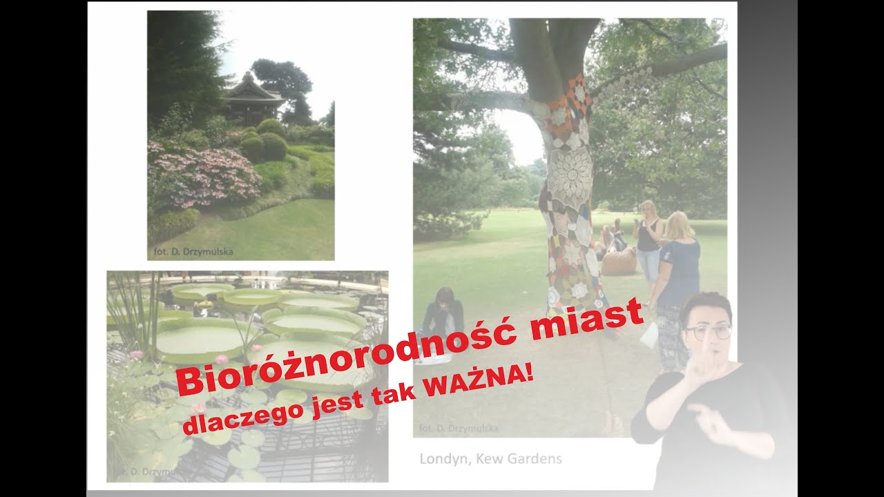 Bioróżnorodności w miastach polskich, dr hab. Danuta Drzymulska (Wydział Biologii, UwB).