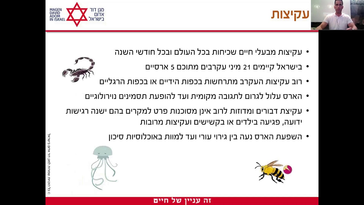 פגיעות בעלי חיים חלק א', קורס חובשים הר חברון- מדריך דוראל ארזואן