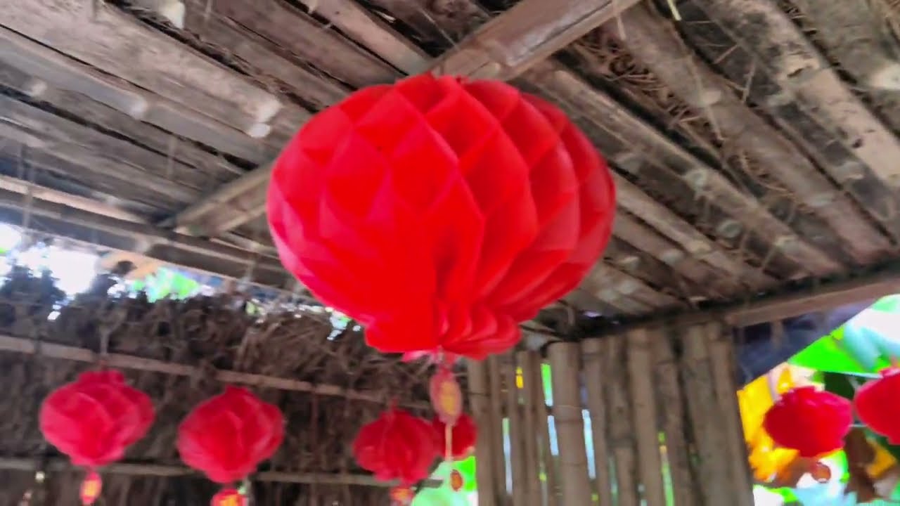 Vườn rau phía sau nhà mình xanh mướt #7