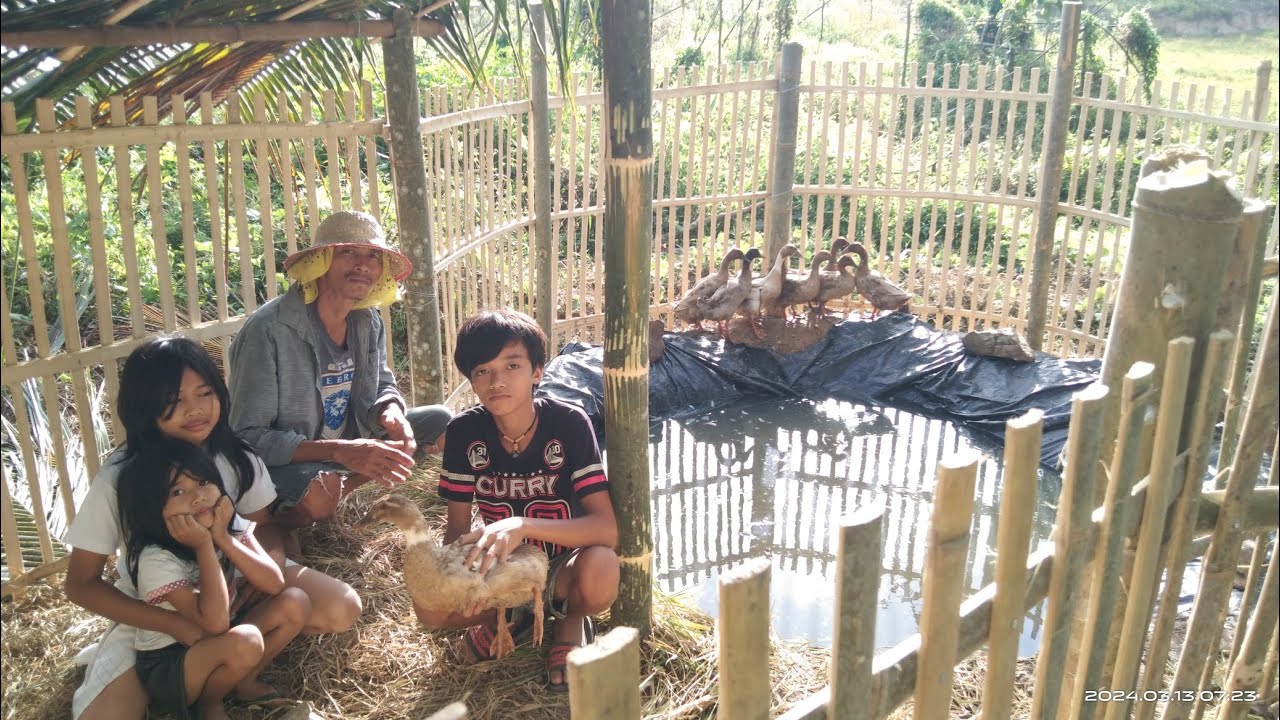 This is how we made our ducks so happy.😊