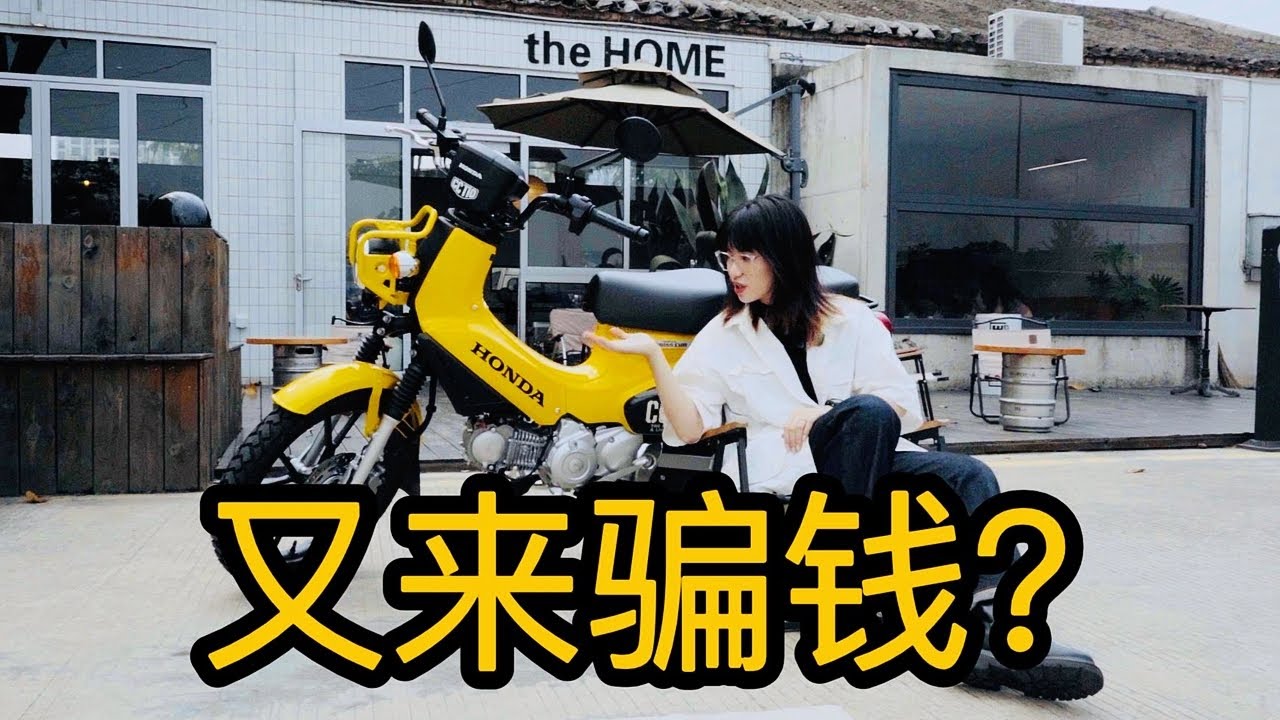 认清本田多年，碰见幼兽却依然被骗？