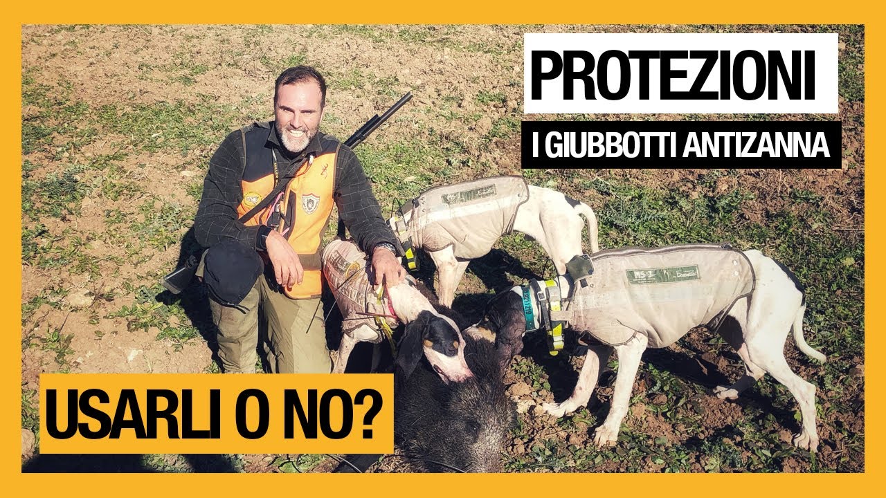 GIUBBOTTI ANTIZANNA PER CANI