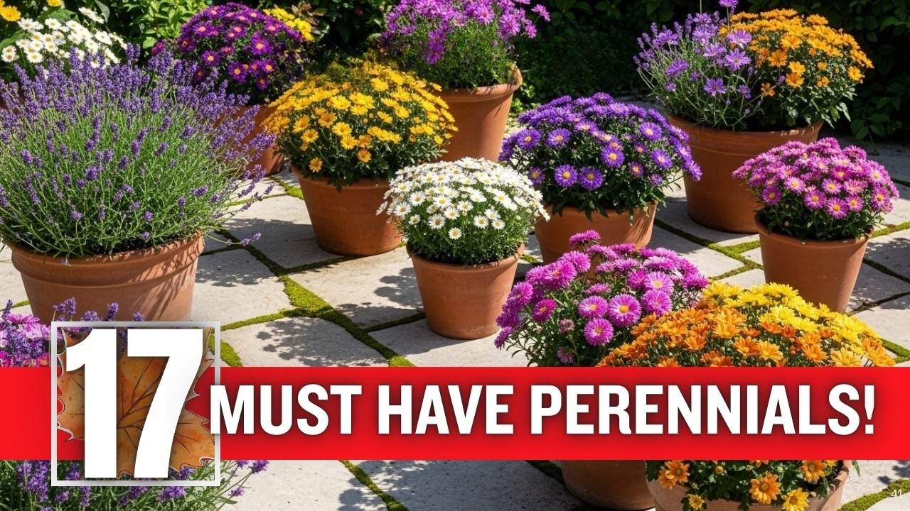 💥🔥 Lazy Gardener's Dream: 17 Perennials ThatTHRIVE in Containers/Pots With ZERO Effort!