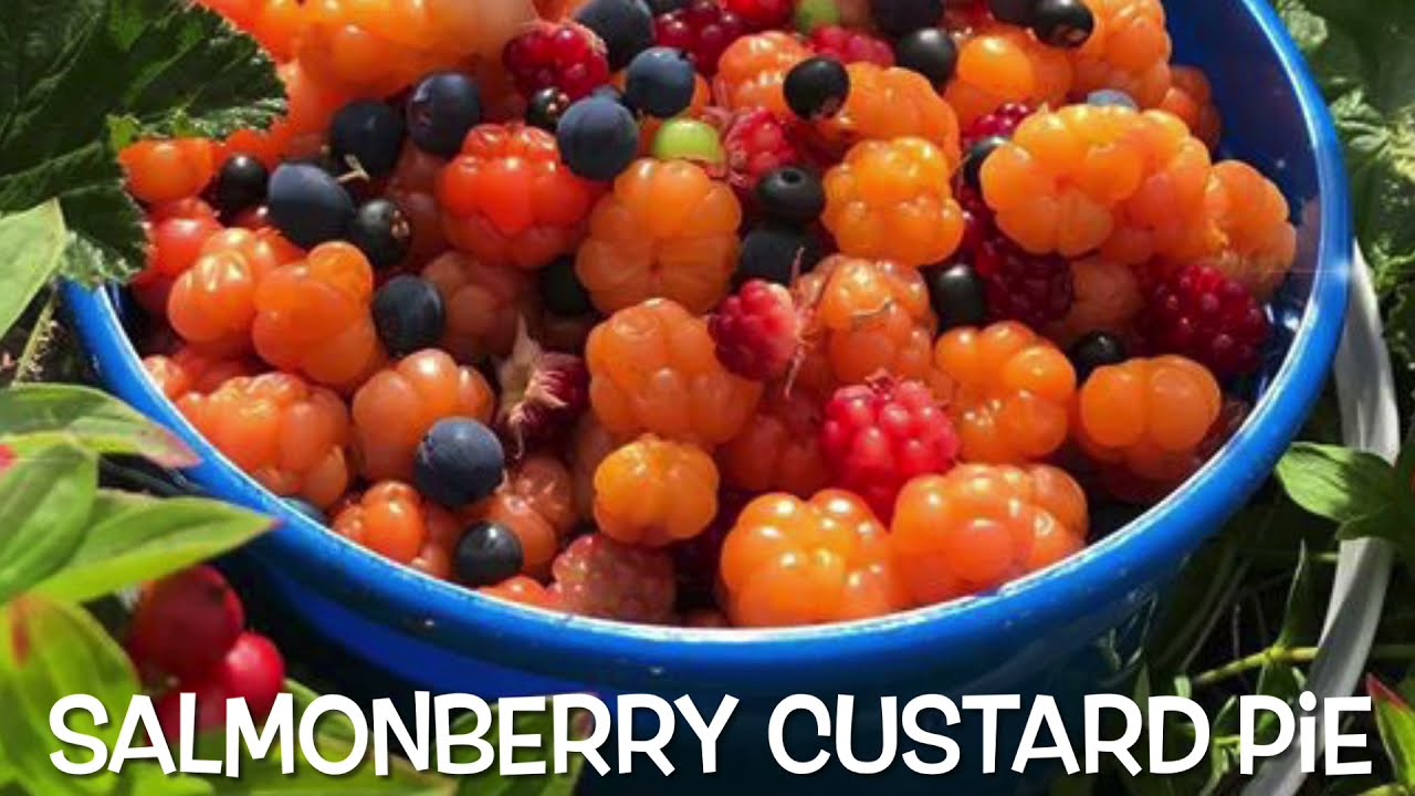 Salmonberry Custard Pie