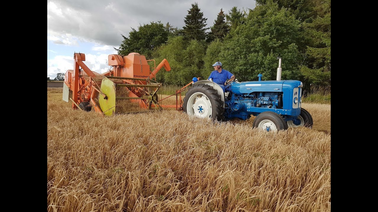 Fordson Super Major with Dronningborg D600 harvester Behind (Barley Harvest 2017)