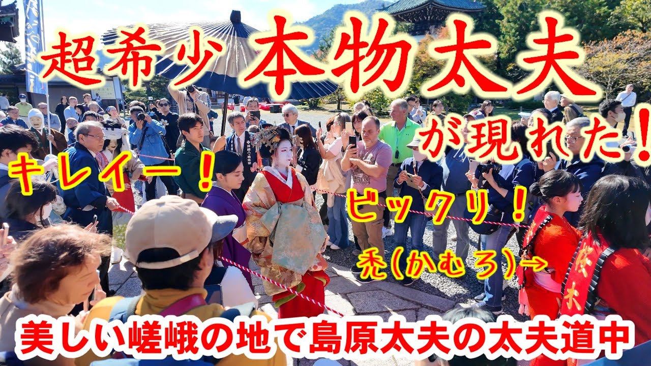 超希少！舞妓さんより珍しい本物太夫さんに外国人観光客も夢中【夕霧祭清凉寺にて島原桜木太夫の太夫道中】