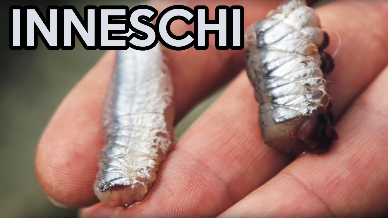 2 INNESCHI DA PESCA con L'ACCIUGA o ALICE (inneschi per pesca in mare da terra... ma anche da barca)