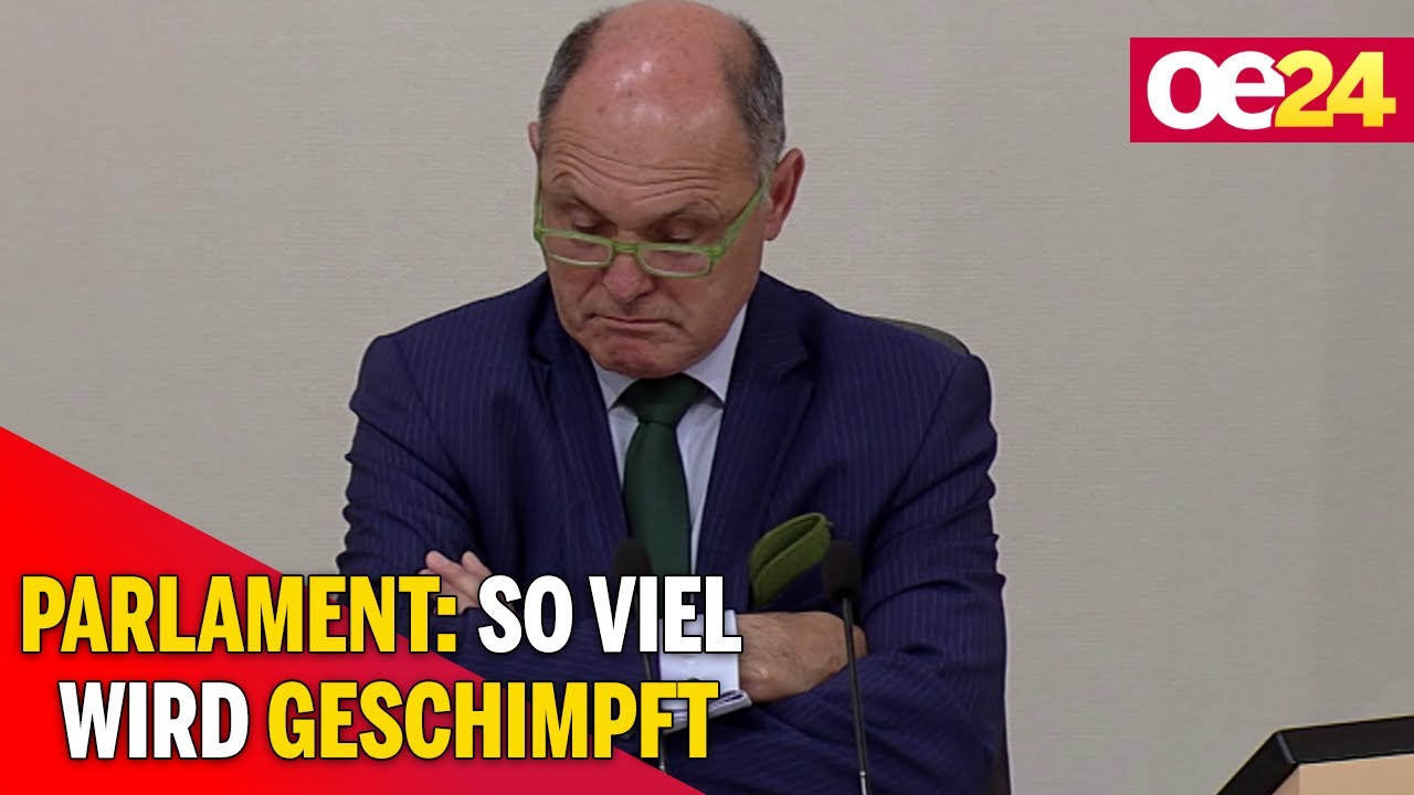 Parlament: So viel wird geschimpft 🤬