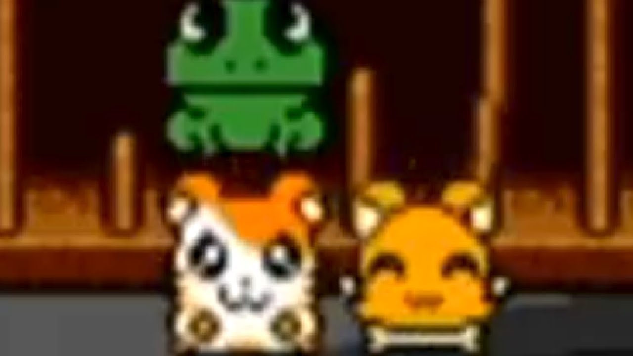 Hamtaro: Ham-Hams Unite! Walkthrough Part 5 - Ruins (1/2)