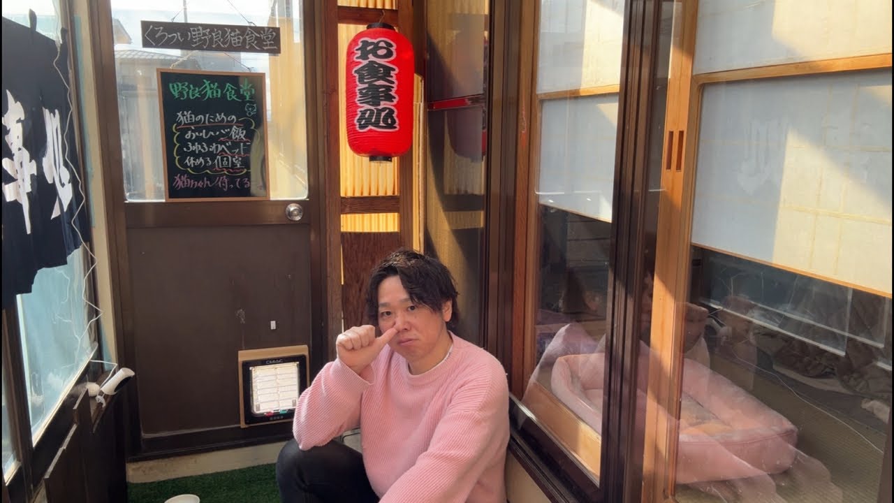 夕方の野良猫食堂さんから雑談ライブ配信🍺