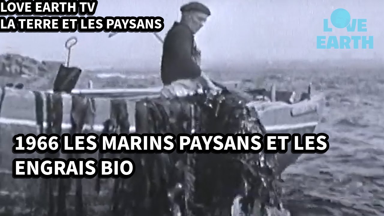 01/01/1966: Magazine: Les Marins Paysans: Récolte en Bretagne du Goemon, Engrais Naturel