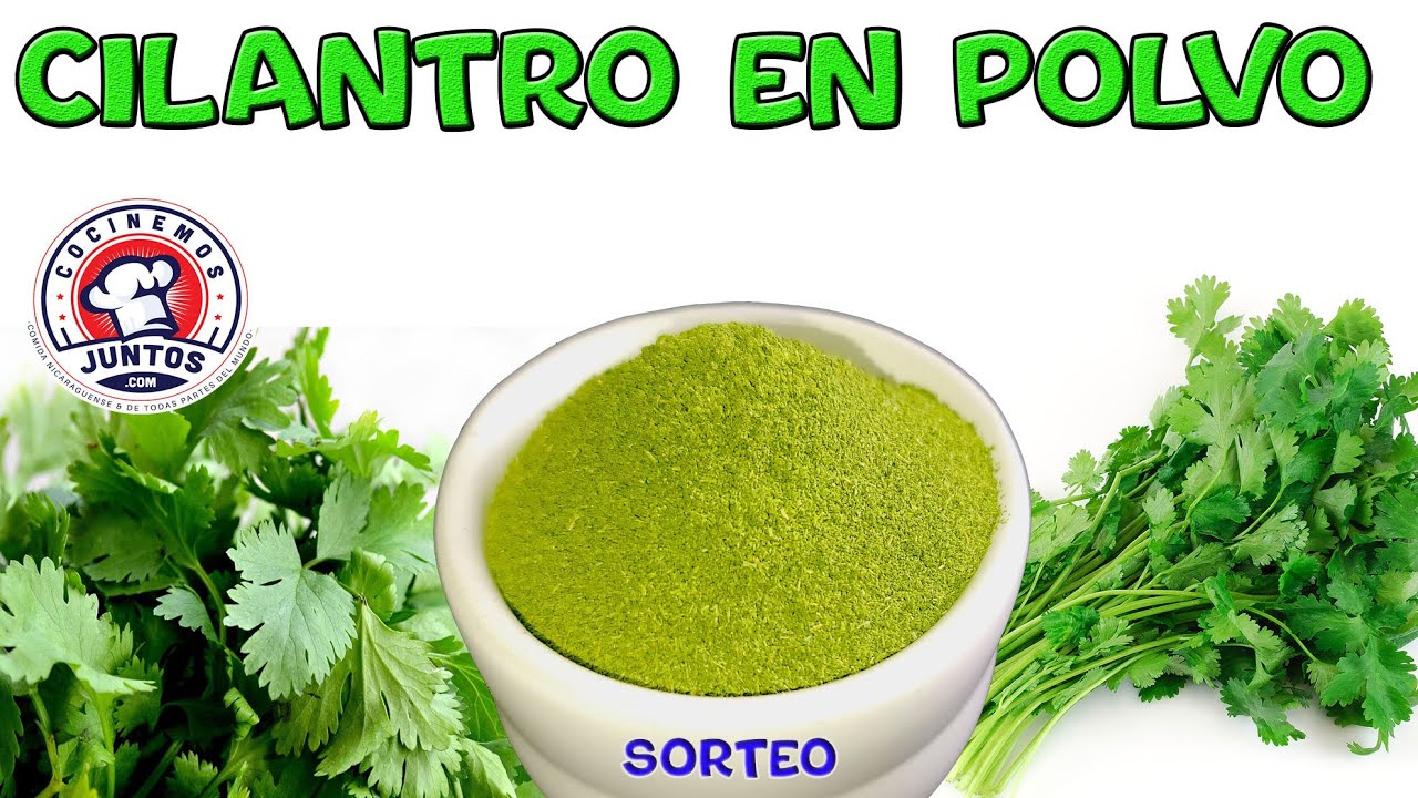 La manera perfecta y correcta de hacer cilantro en polvo en casa